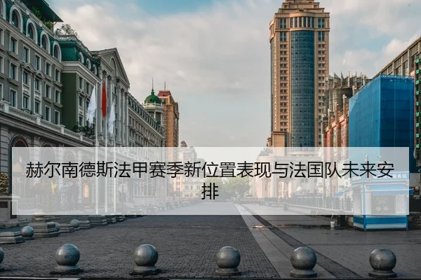 赫尔南德斯法甲赛季新位置表现与法国队未来安排 - weidesports
